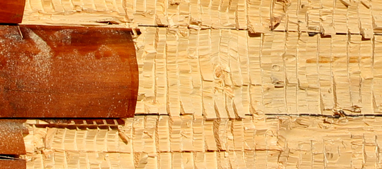 Log Home Face Restoration  Limestone County, Alabama